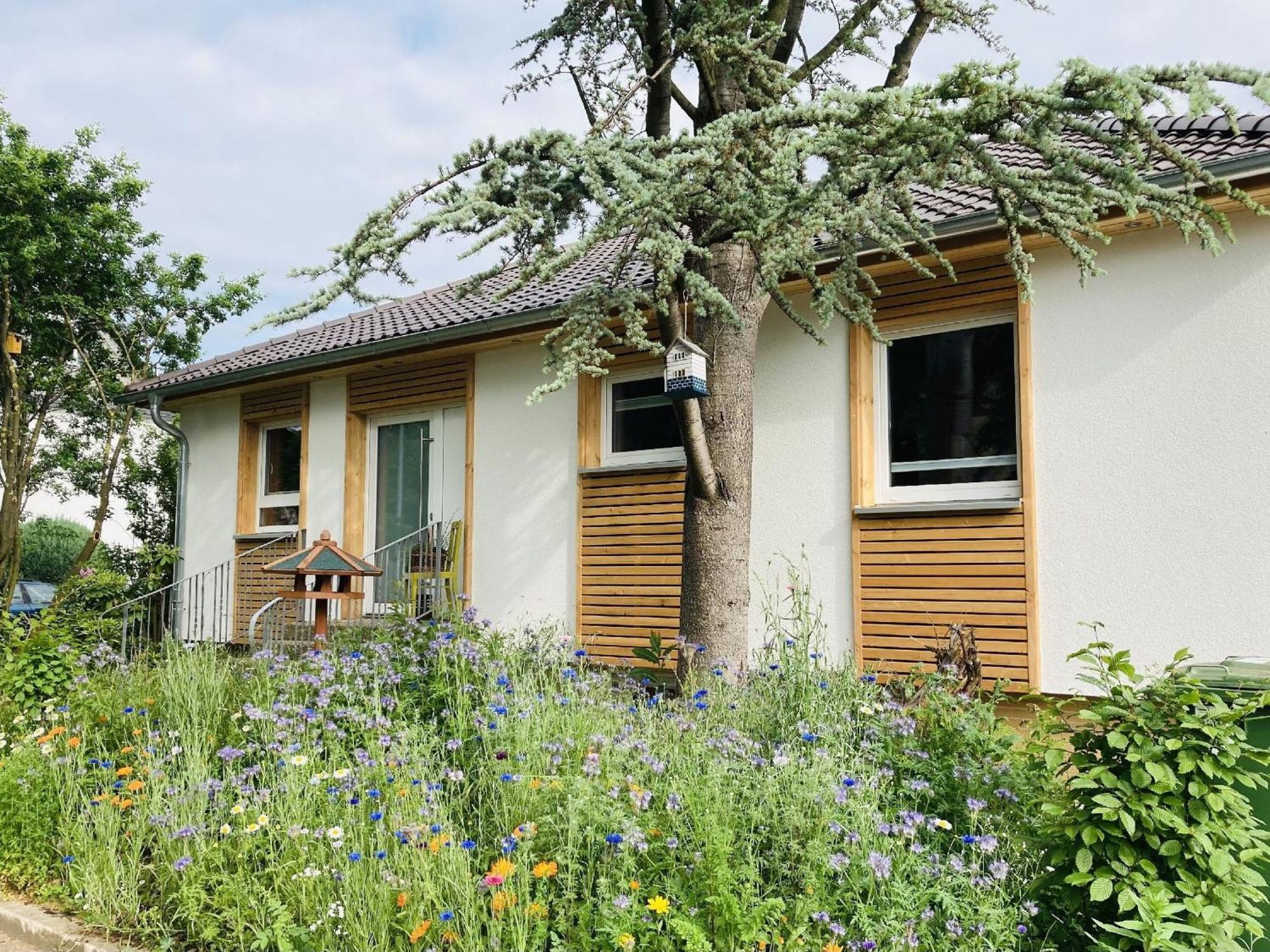Ferienhaus Urwald Hofgeismar Exterior foto